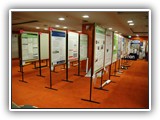 Poster session (1)