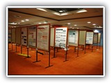 Poster session (2)