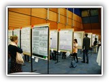 Poster session (29)