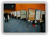 Poster session (30)