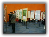 Poster session (38)